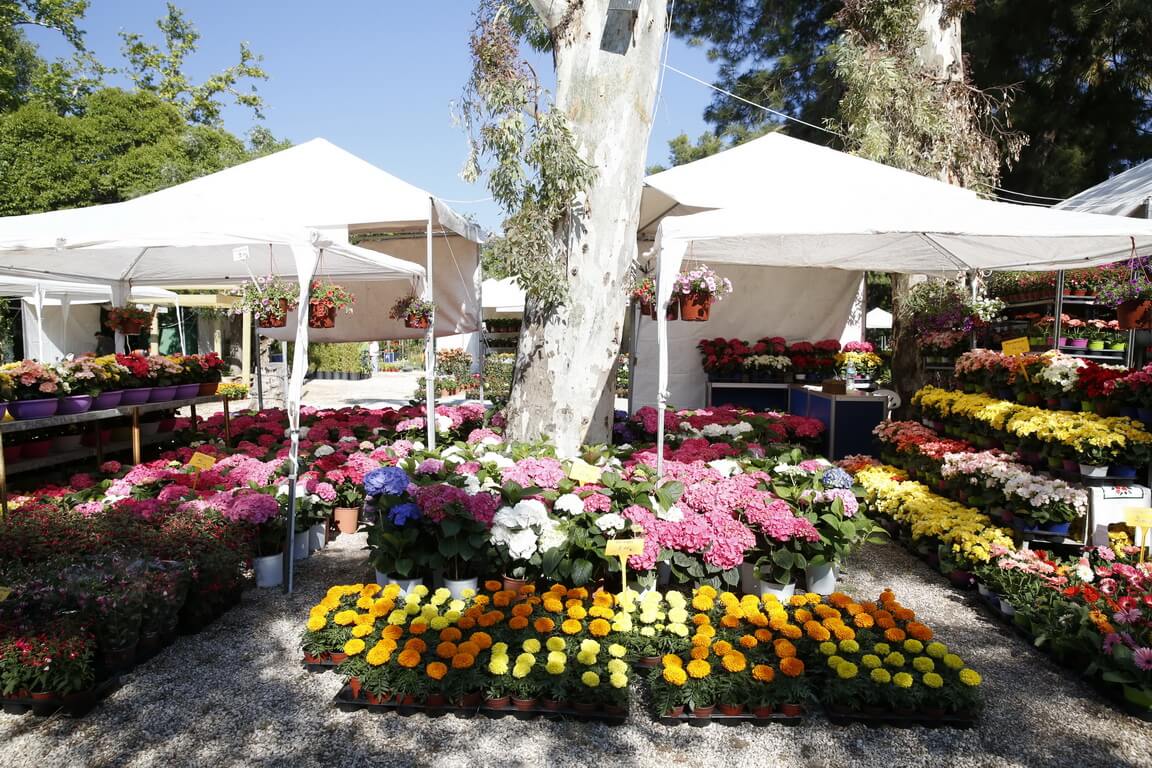 To VR Planet στην ανθοκομονική έκθεση κιφησιάς 2019